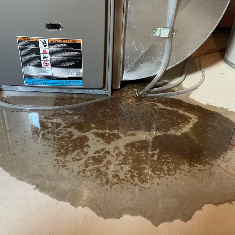 Appliance Leak Cleanup in North Granby, CT